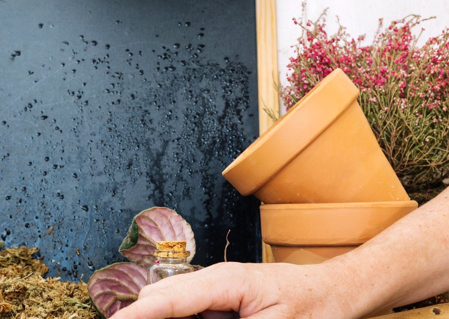 Local exterminator Beloit