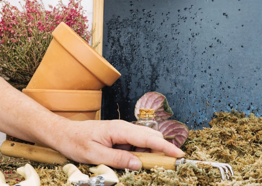 McCary Pest Control LLC pest control work in Braddock