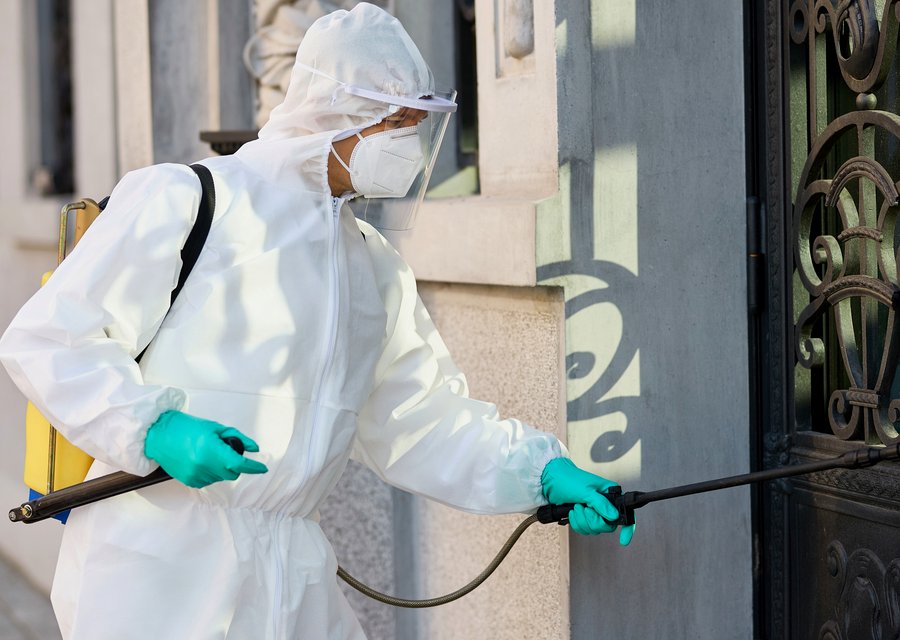 Local exterminator Braddock