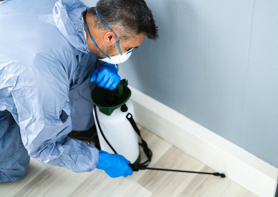 Bat Free Batproofing pest control work in Fountain Valley