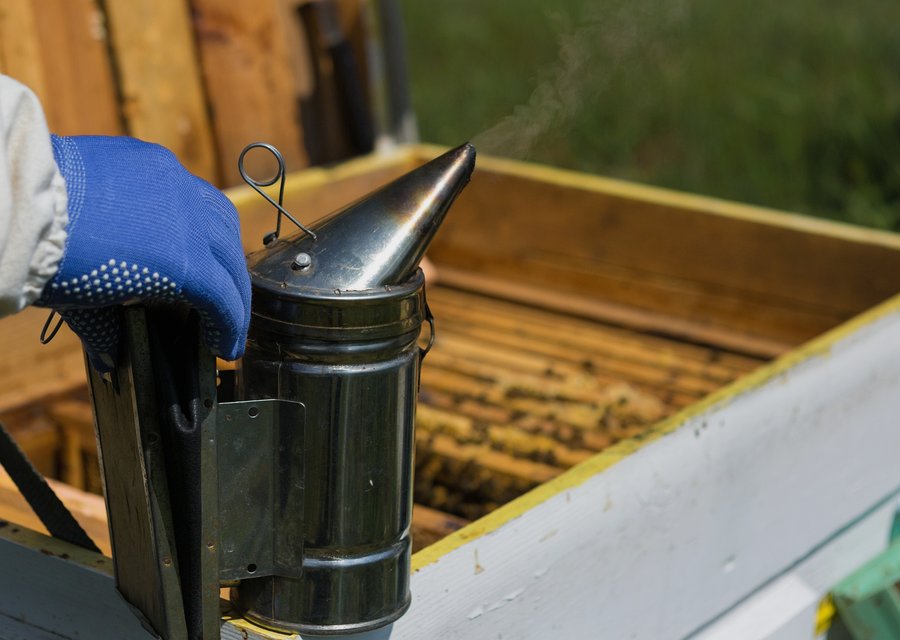 Pest treatment in Pleasantville, NJ