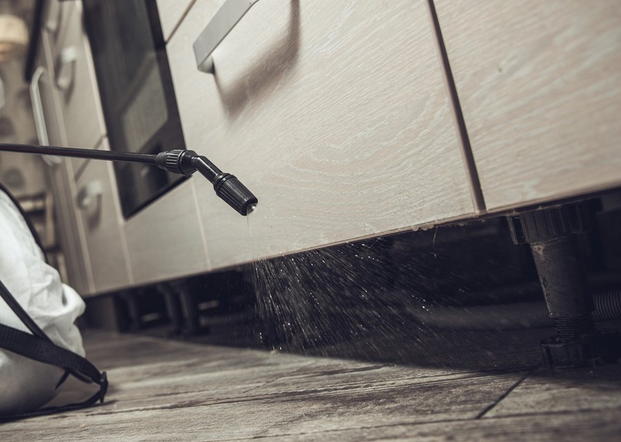 Local exterminator Pleasantville