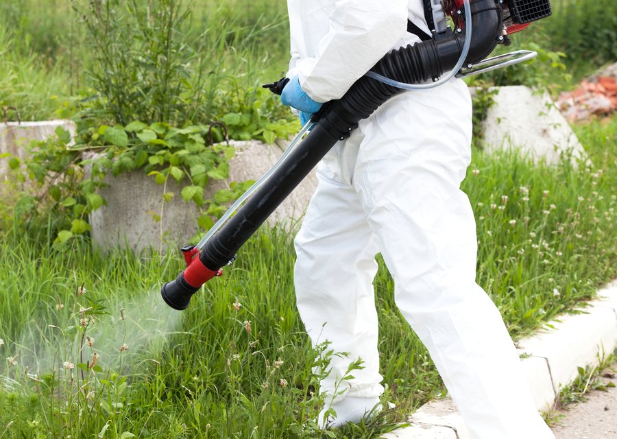Pest treatment in Wall, NJ