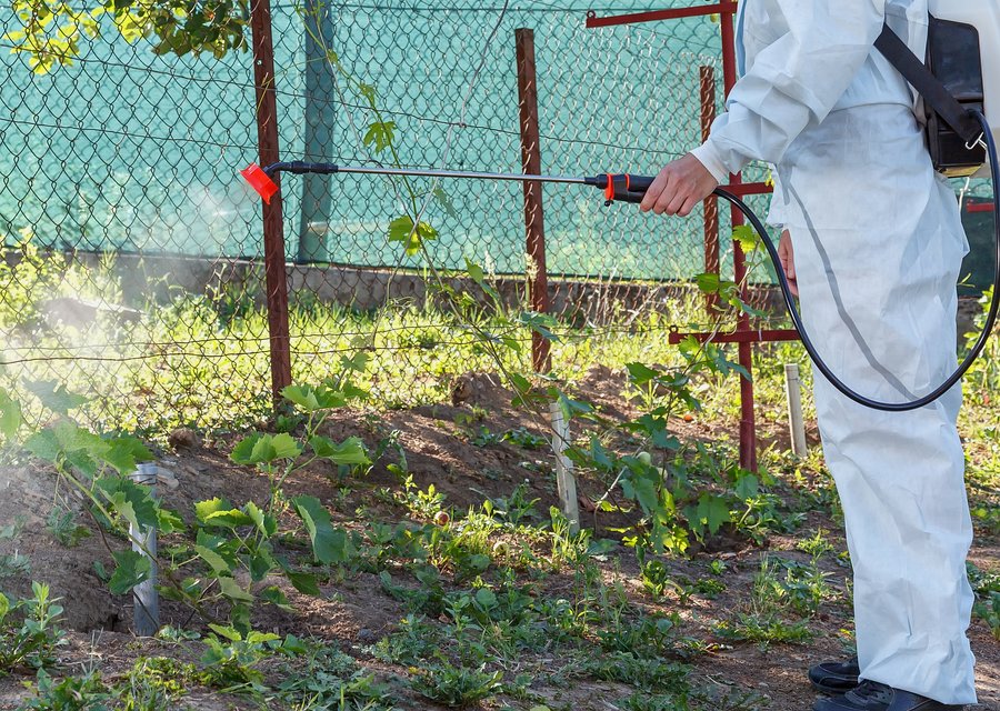 Blessed Pest Solutions pest control work in Cassatt