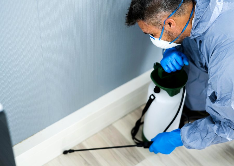 Local exterminator Cassatt