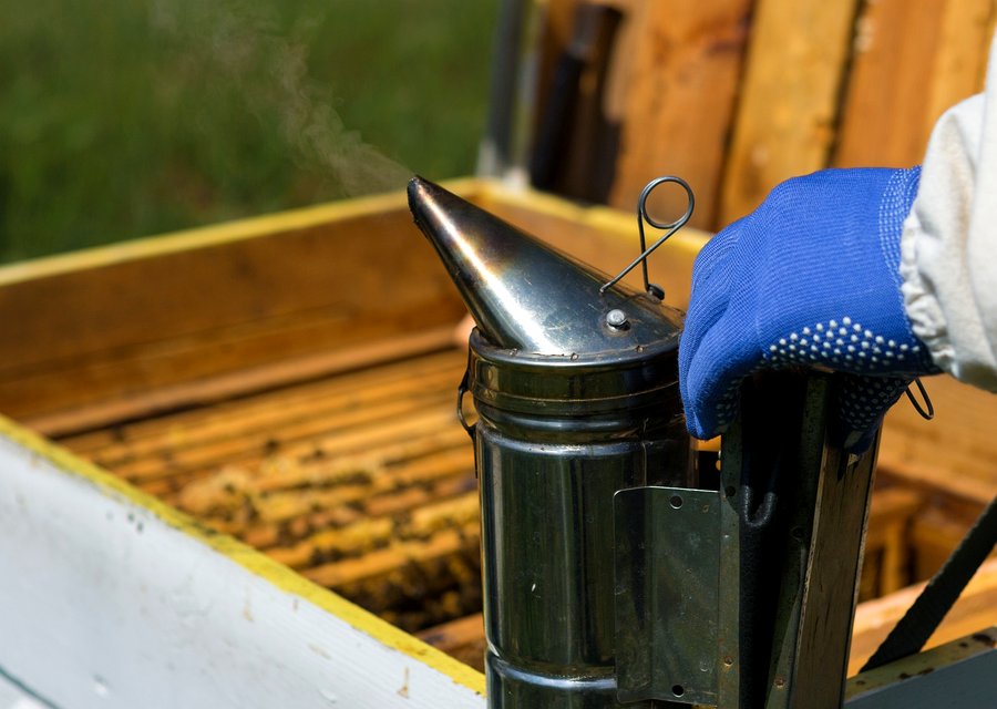Lee Pest Control pest control in Evergreen Park, IL