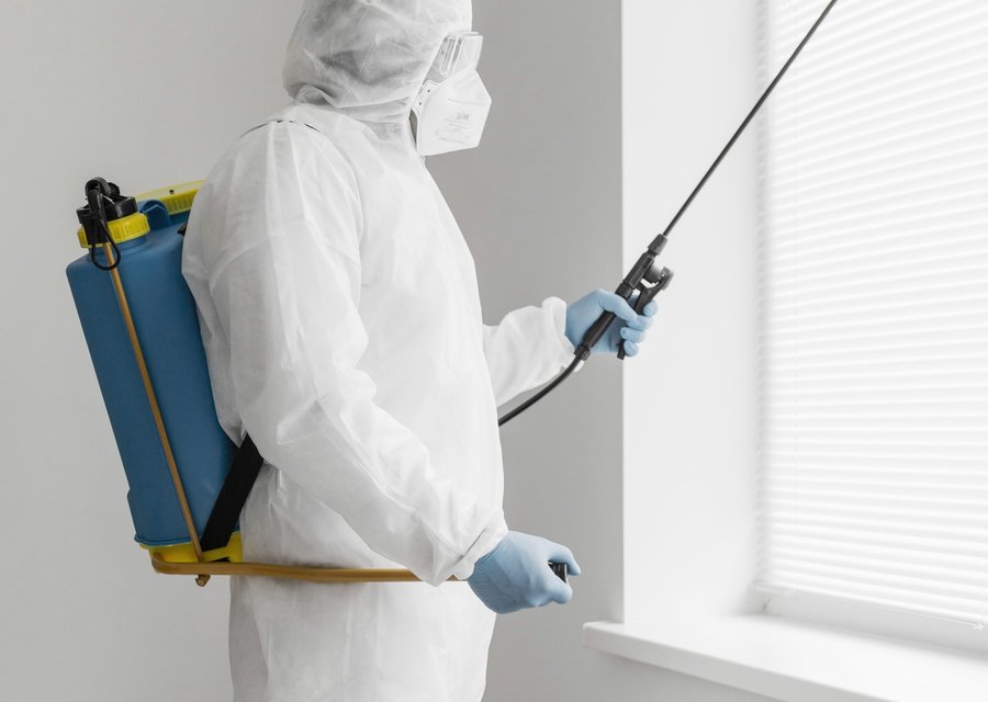 Pest treatment in Glendale, OR