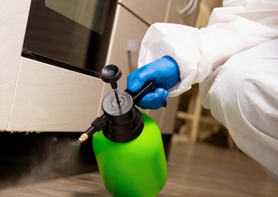 Best Pest Pro pest control work in Grand Chute