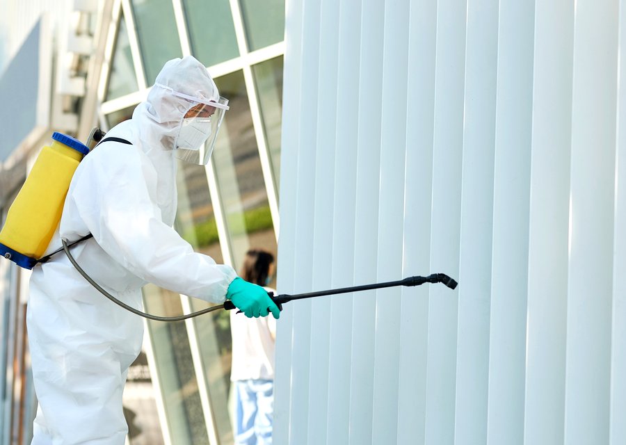 Local exterminator Grand Chute