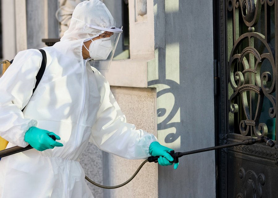 Bulwark Exterminating pest control work in Leetsdale