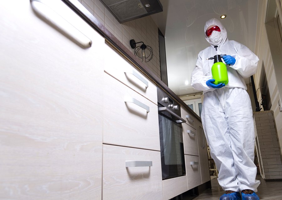 Eagle Eye Pest Control inc pest control work in Cayce