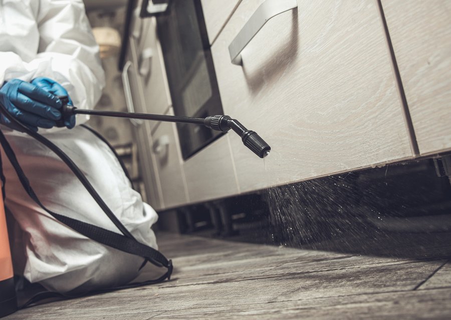 Local exterminator Eminence