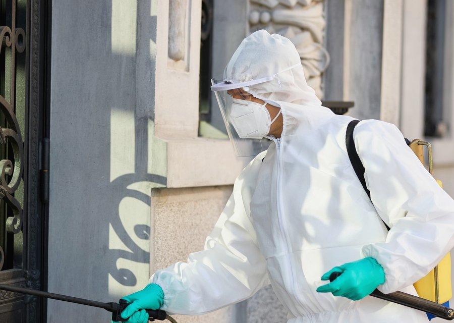 Pest treatment in Attleboro, MA