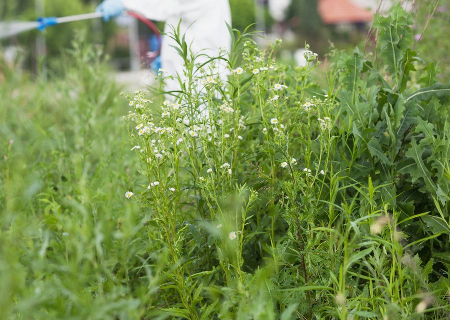 Arrow Pest Control pest control work in Cincinnati