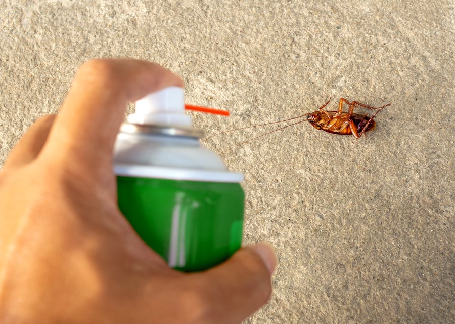 Eco Advantage Pest Control pest control work in Chesterland