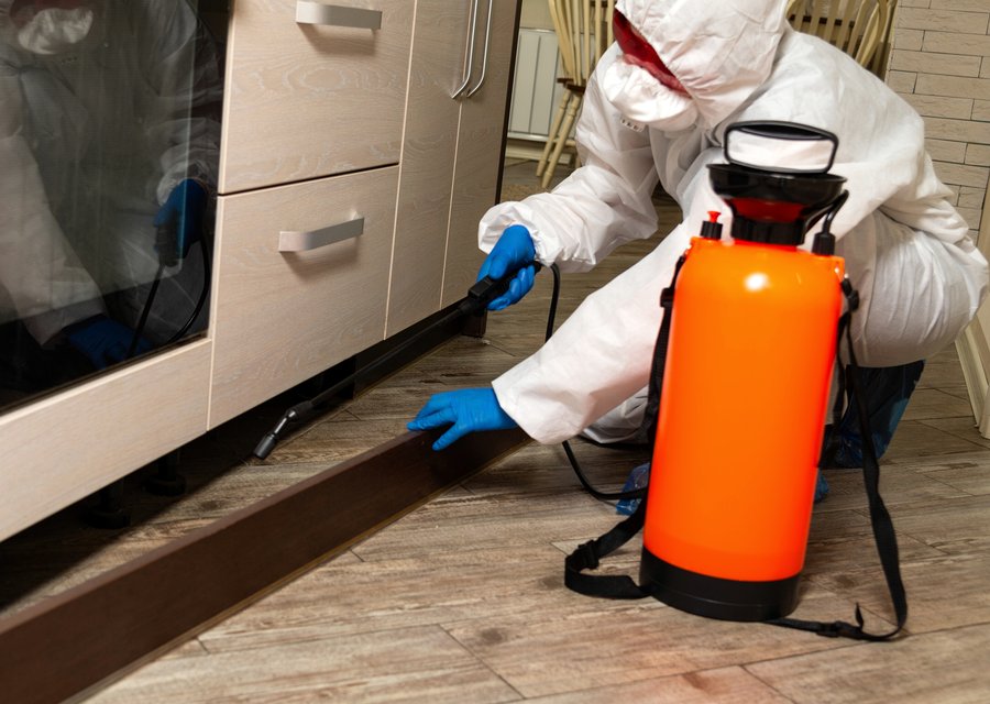Pest treatment in Chesterland, OH