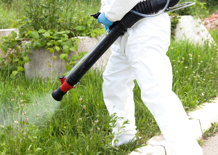 Local exterminator Chesterland