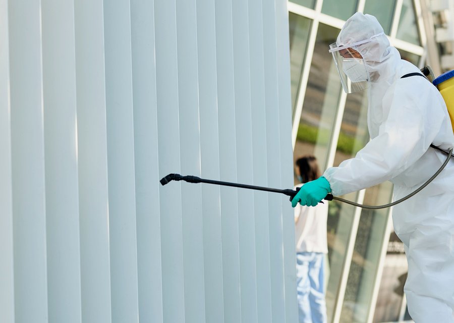 Pest treatment in Dudley, MA