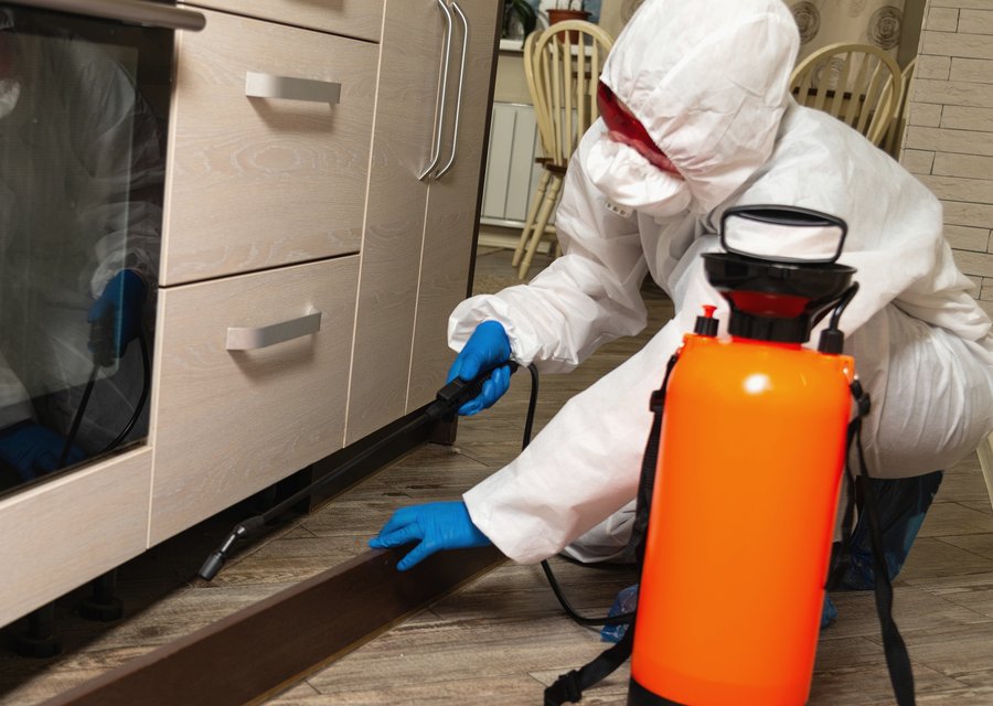 Pest treatment in Elk River, MN