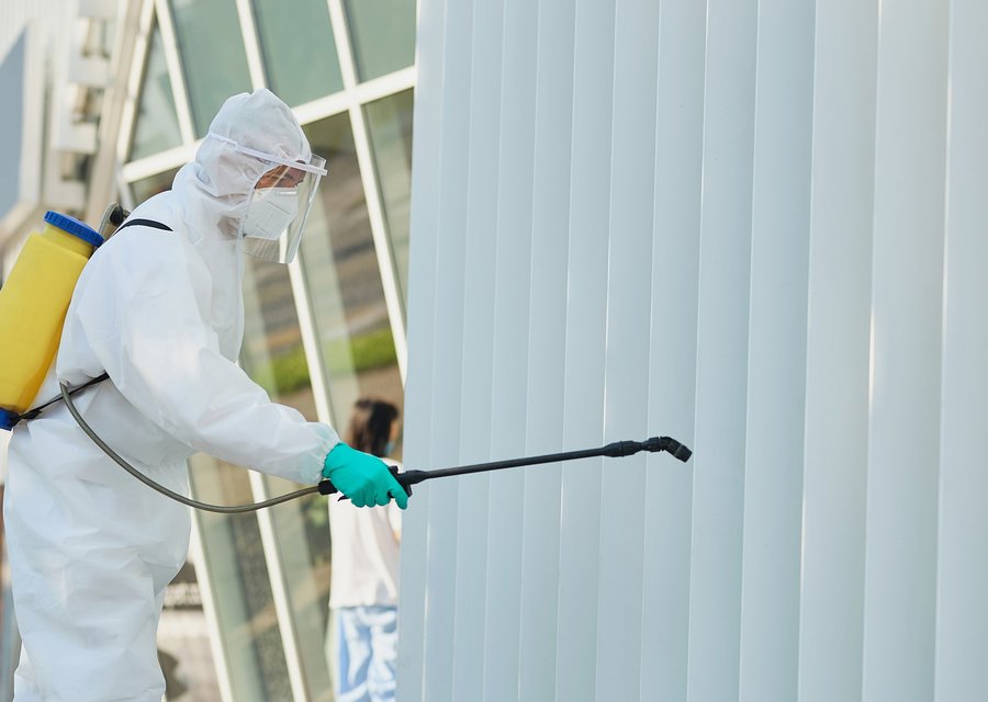 Pest treatment in Bell, CA