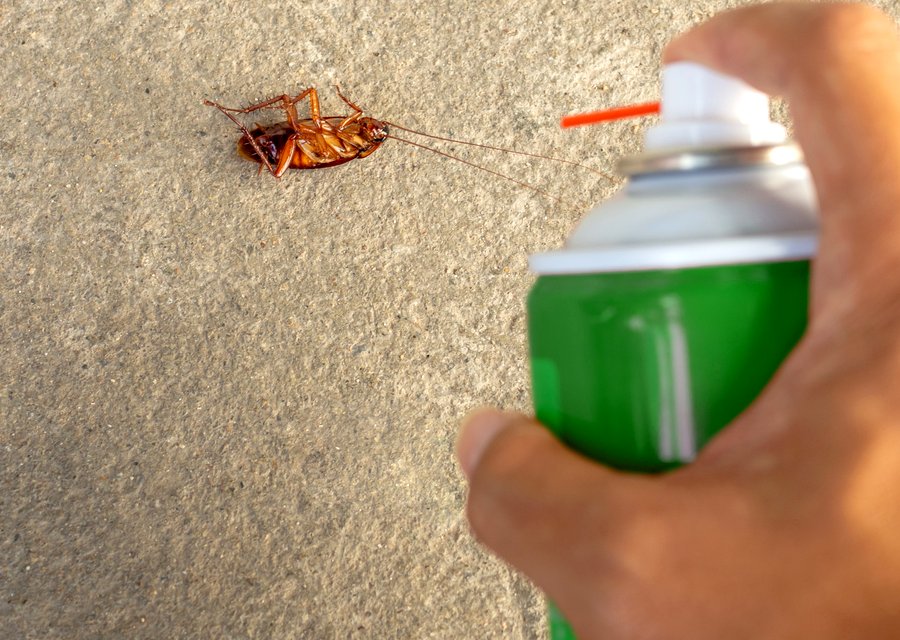 Abatem Exterminating Co pest control in Fort Lee, NJ