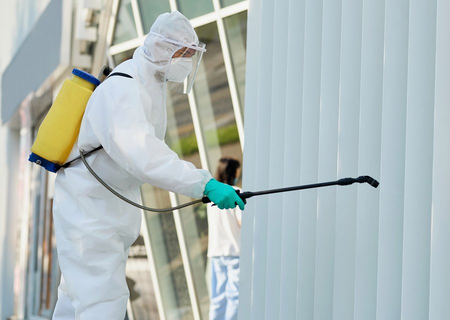 Pest treatment in Fairborn, OH
