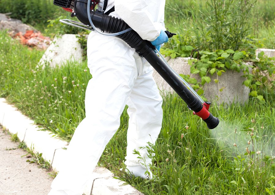 Pest treatment in Carmel, IN