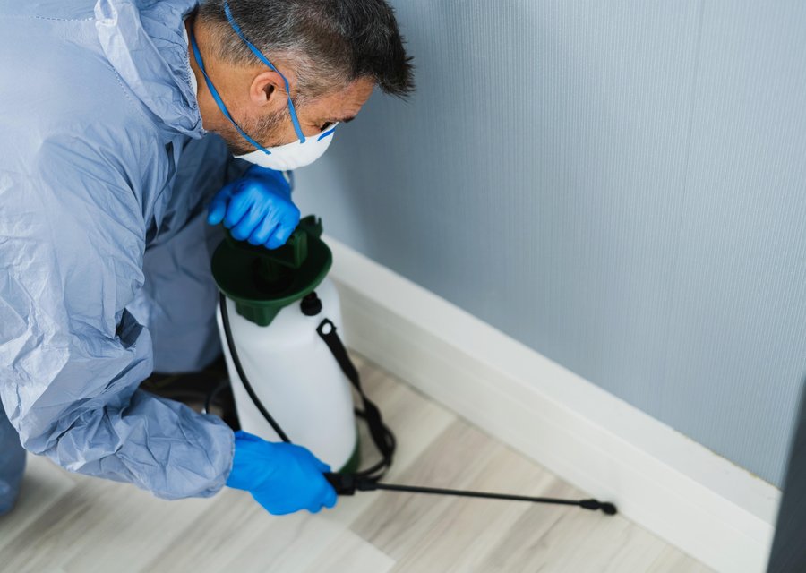 M & M Pest Control LLC pest control work in Bonita Springs