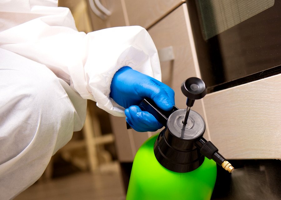 Local exterminator Eden Prairie