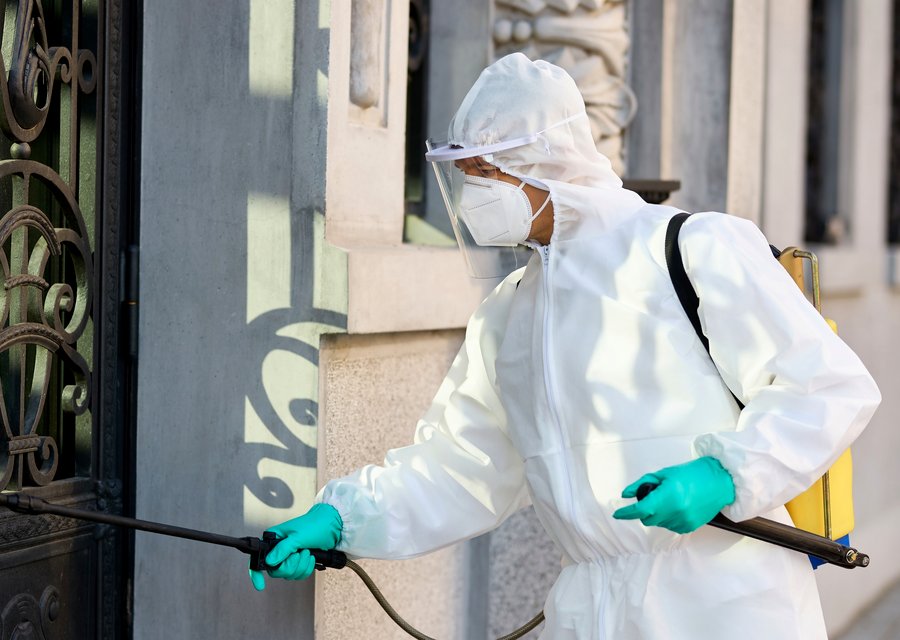 Gaia Pest Control pest control work in Cameron