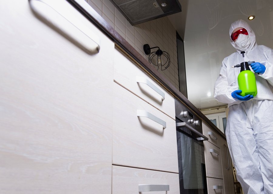 Apple Exterminating pest control work in Oak Lawn