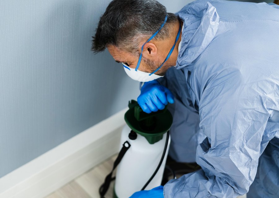 Paramount Pest Solutions pest control work in Cedar Grove