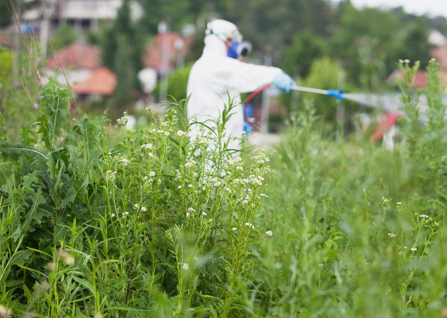 Pest treatment in Beecher, IL