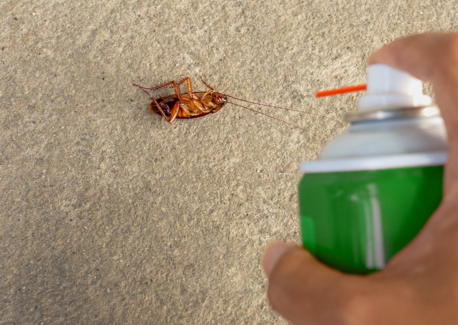 Action Pest Control pest control work in Tinicum