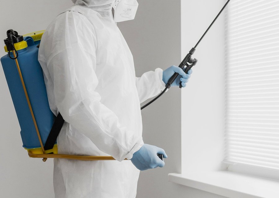 Pest treatment in Bridgman, MI