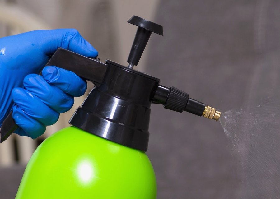 Expel Exterminating Experts pest control work in Forest Hill