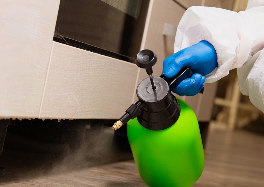 Bell Pest Services pest control work in Bethesda