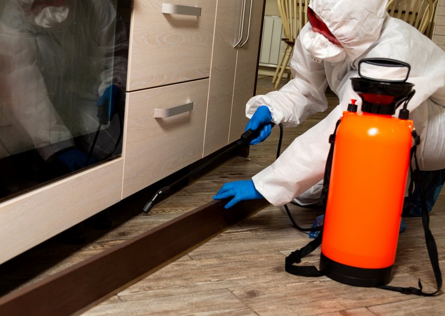 Local exterminator Blacksburg