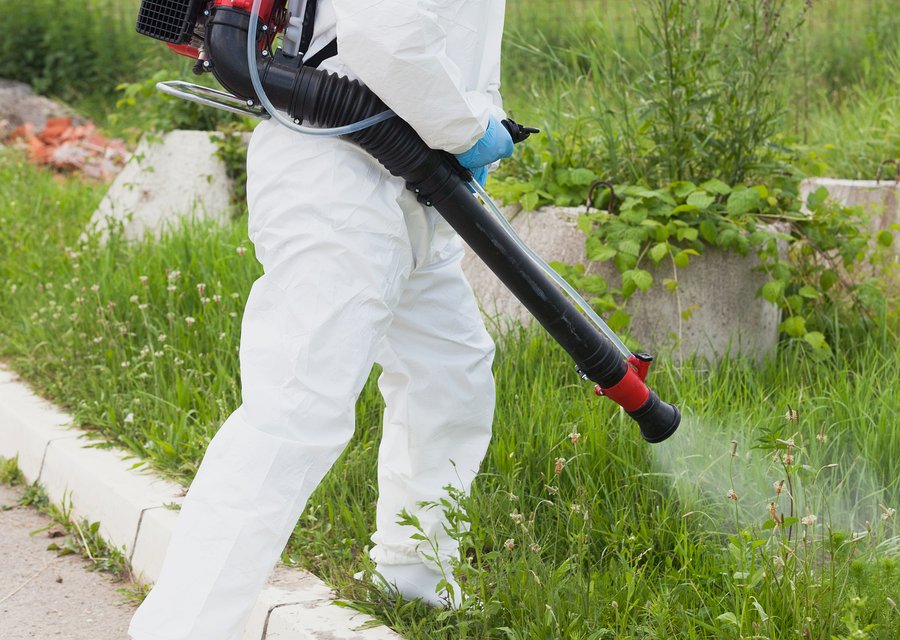 Pest treatment in Aliso Viejo, CA
