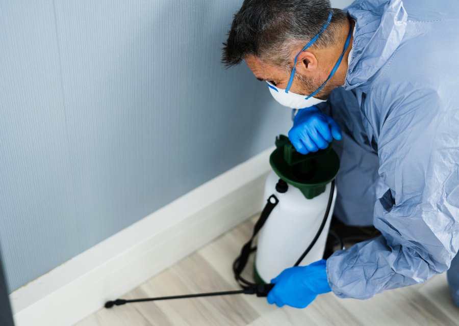 Pest treatment in Damascus, MD