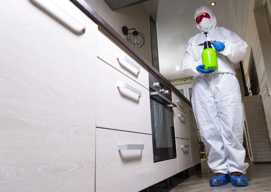 Local exterminator Bridgeport