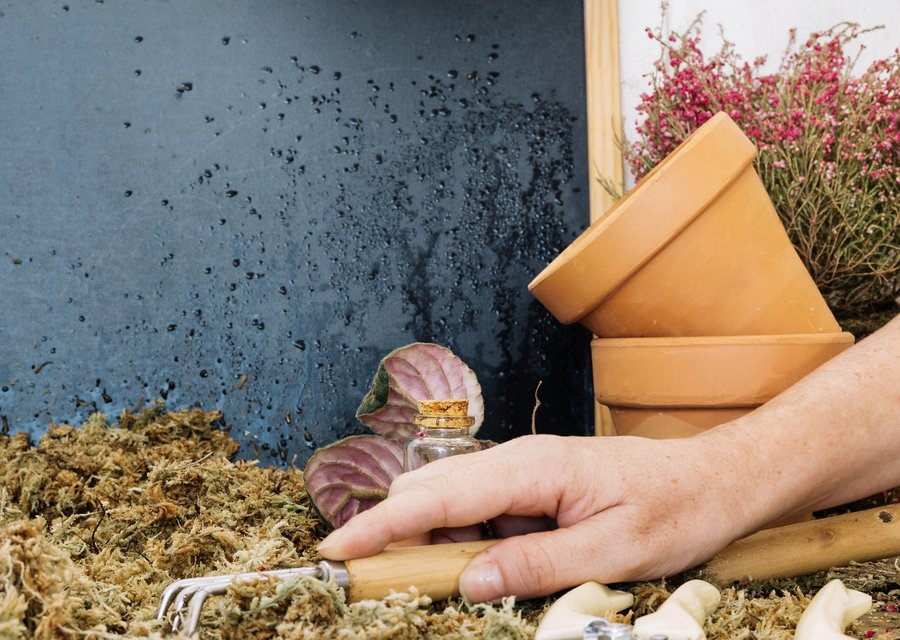 Eastern Pine Pest Control pest control work in Fayetteville