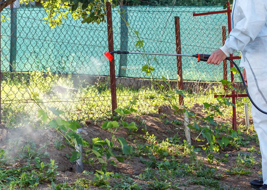 Gunnels Pest Control pest control work in Acworth