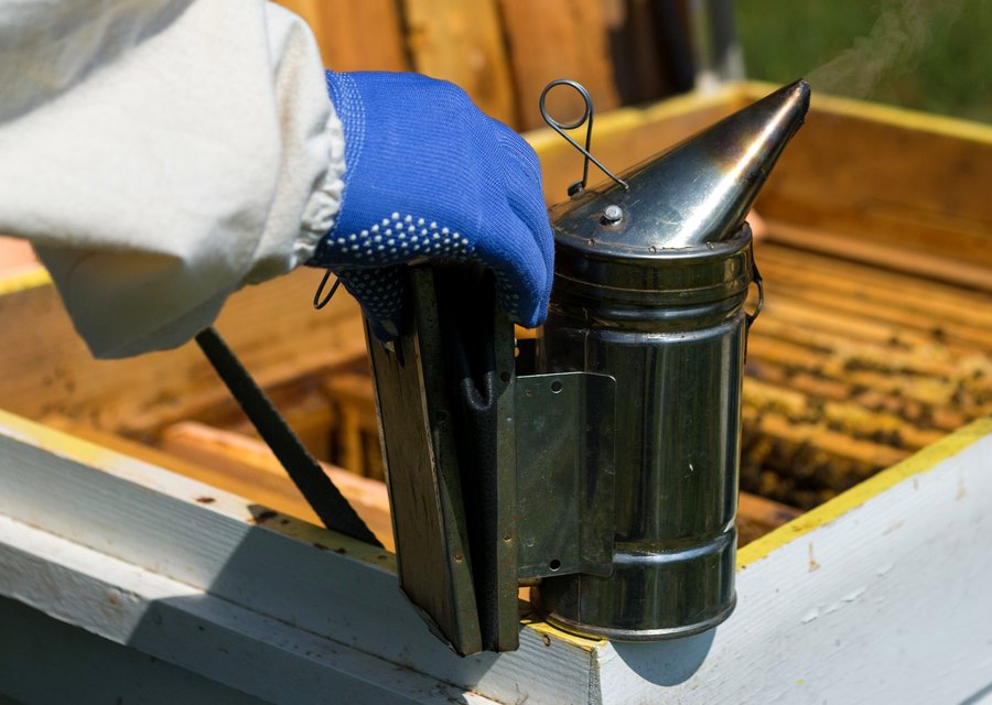 Pest treatment in Acworth, GA