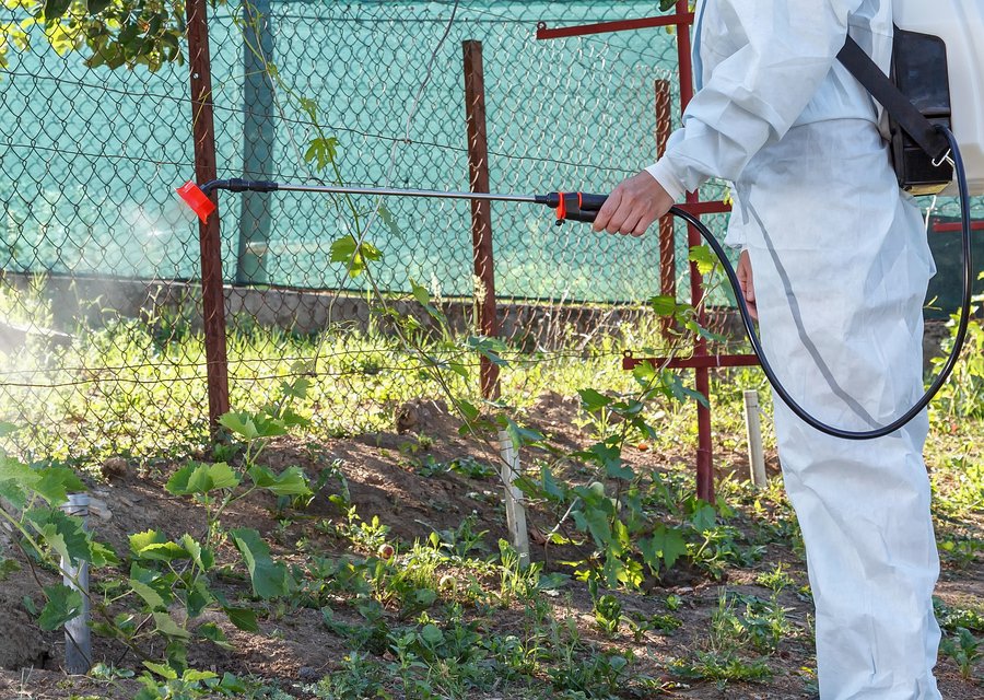 Pest treatment in Berkeley Heights, NJ