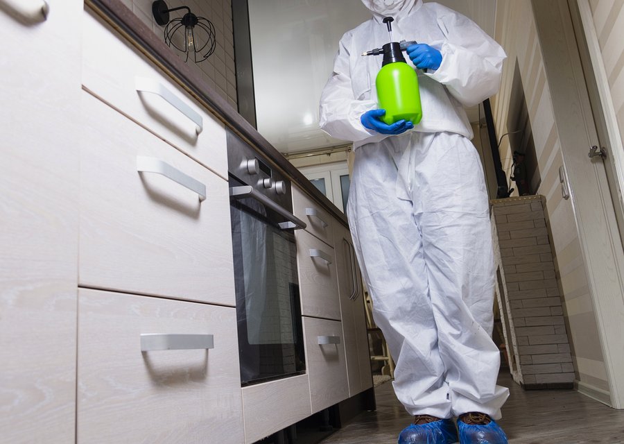 Don't Bug Me Pest Control pest control work in Buffalo