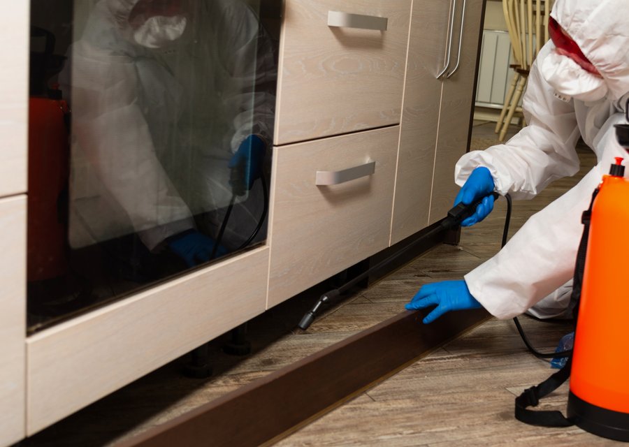 Caldwell Pest Management pest control work in Canandaigua