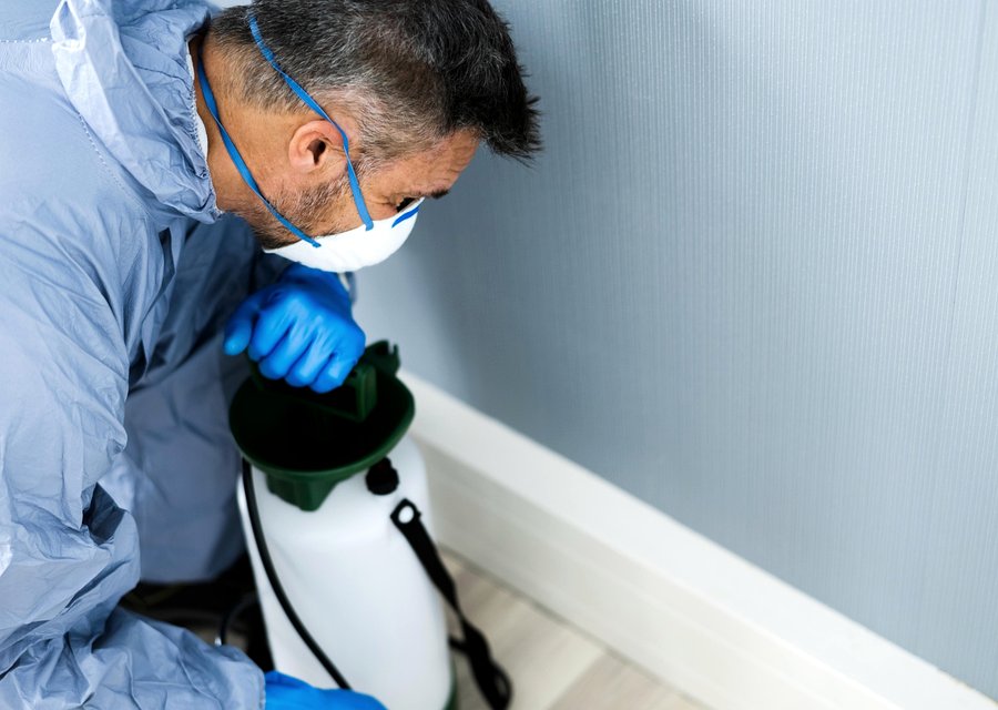 Local exterminator Camden