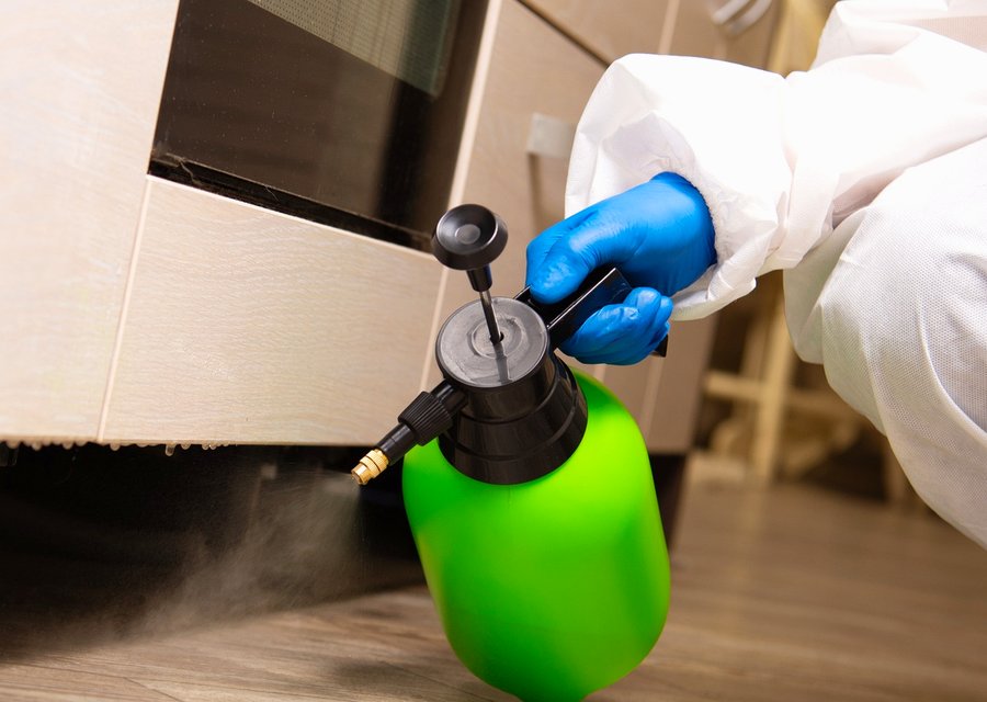 Pest treatment in Gaithersburg, MD