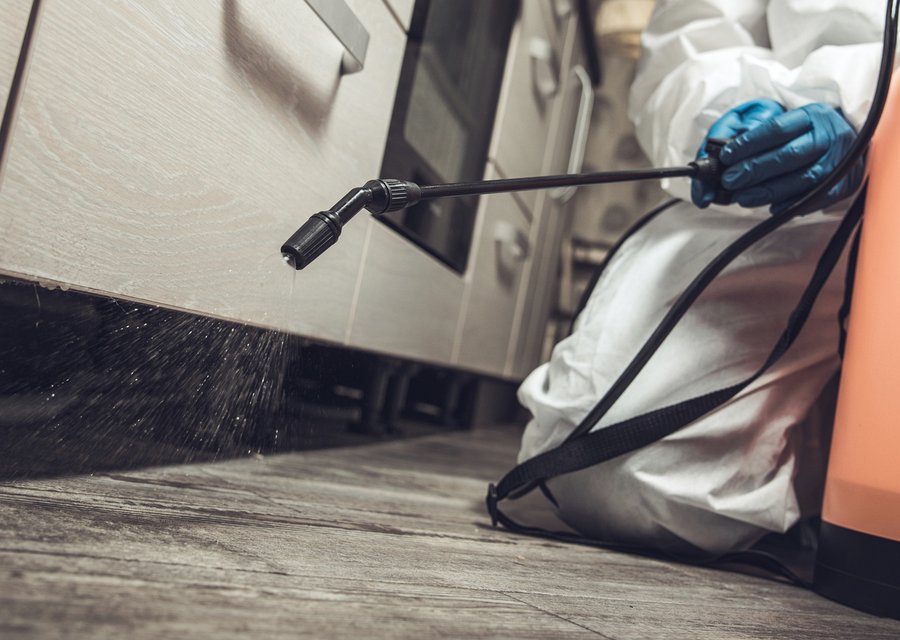 Local exterminator Ellendale